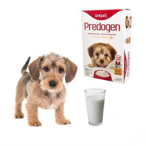 Sữa Precaten chó