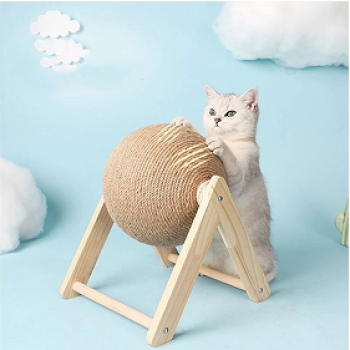 Bee Pet Shop ưu đãi cho cho các sen ghé website nhân dịp mở bán lần đầu