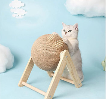 Bee Pet Shop ưu đãi cho cho các sen ghé website nhân dịp mở bán lần đầu