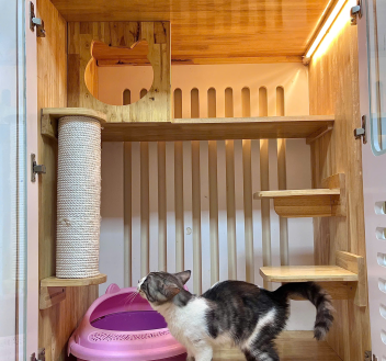 Pet Hotel - Khách sạn chó mèo Tân Bình | Bee Pet