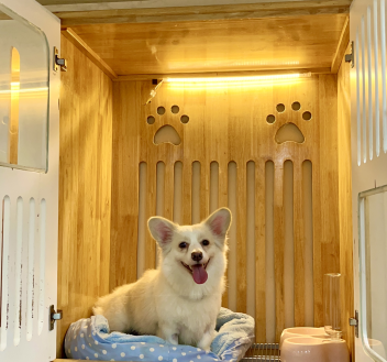 Phòng VIP