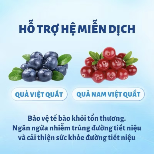 Mr Vet T3