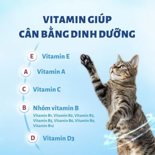 Mr Vet T3