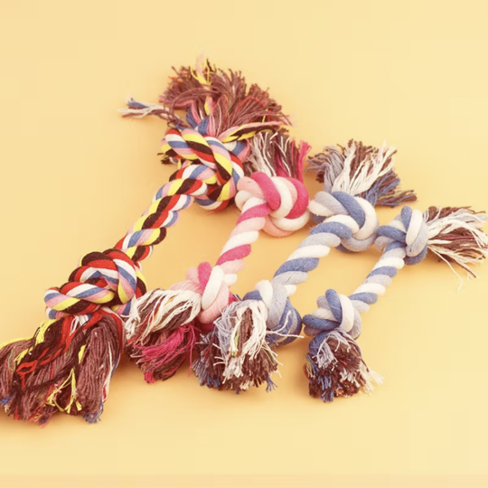 Dây thừng gặm cho chó 20cm