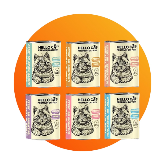 Pate lon Hello Cat 400gr