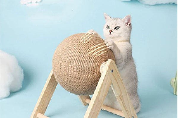 Bee Pet Shop ưu đãi cho cho các sen ghé website nhân dịp mở bán lần đầu