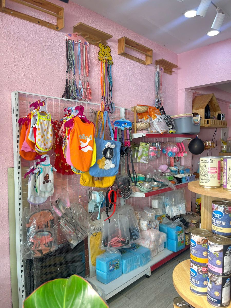 Pet shop Tân Bình